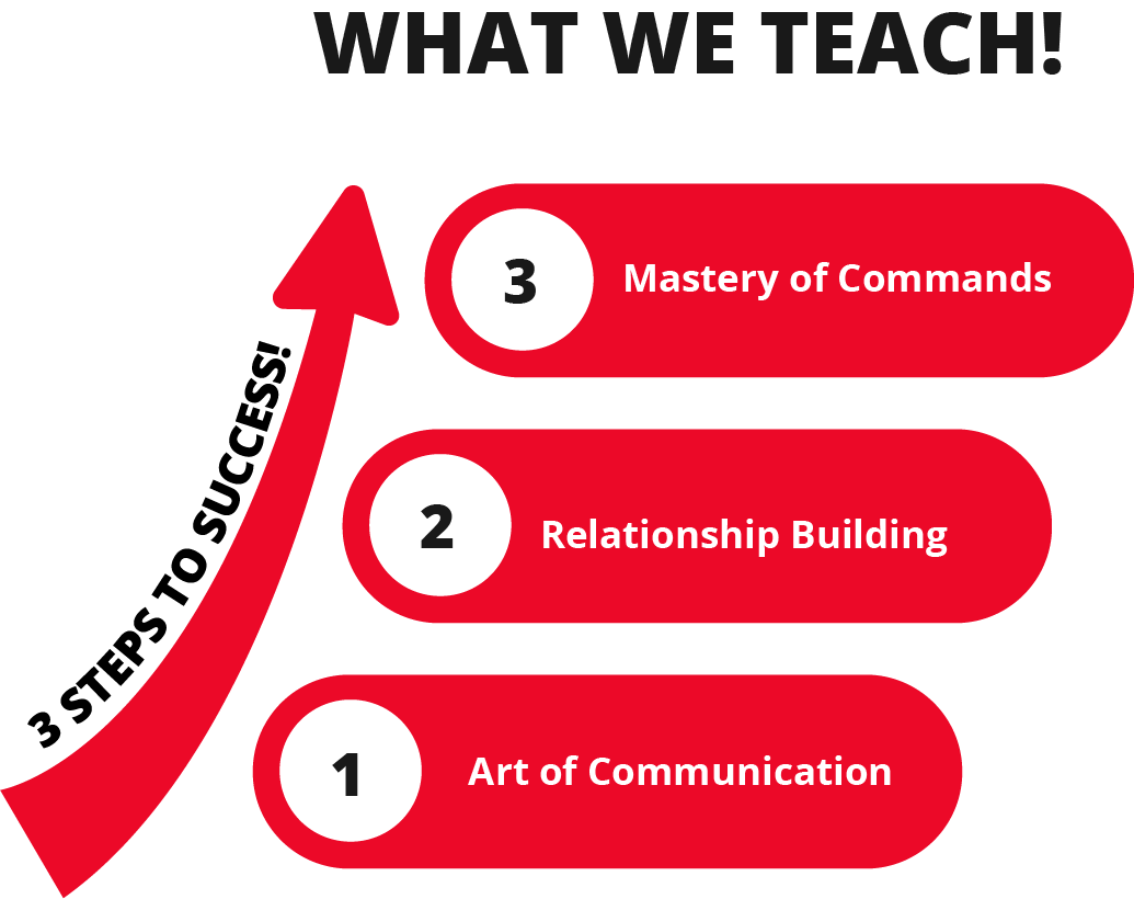 3 steps to success: we have state of the art technology, we build reltionships and finally the owner is a master of commands.