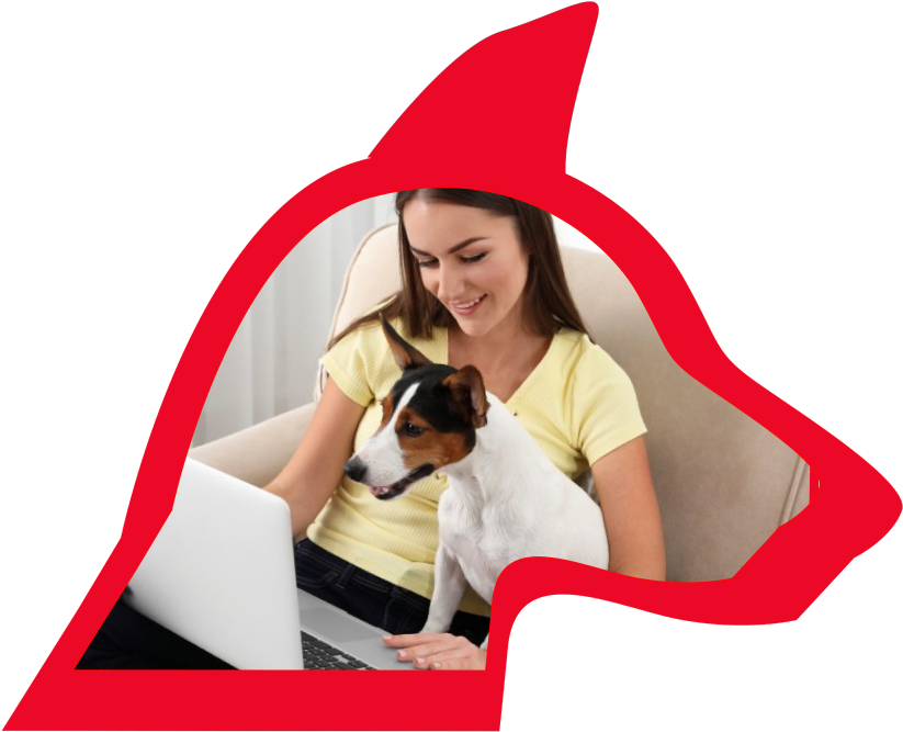 virtual dog image, faster, convenient way to train your dog.